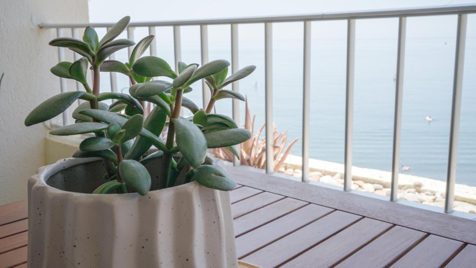 Apartamento Brisa Del Mar Almuñécar Zewnętrze zdjęcie